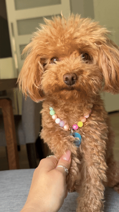 The Maisy Darling Necklace