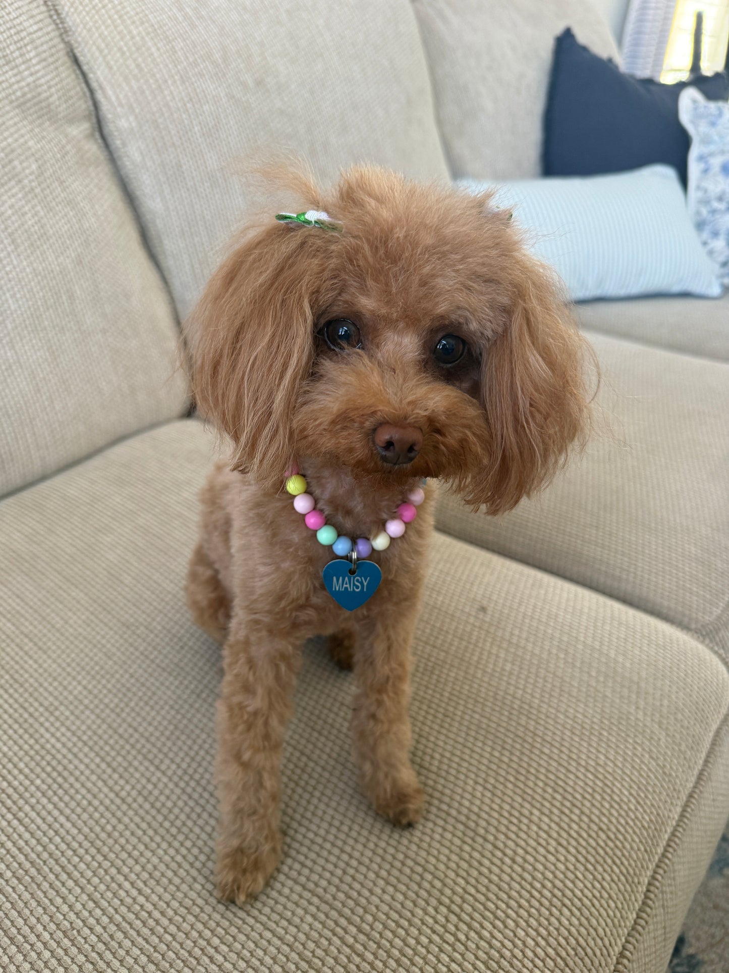 The Maisy Darling Necklace