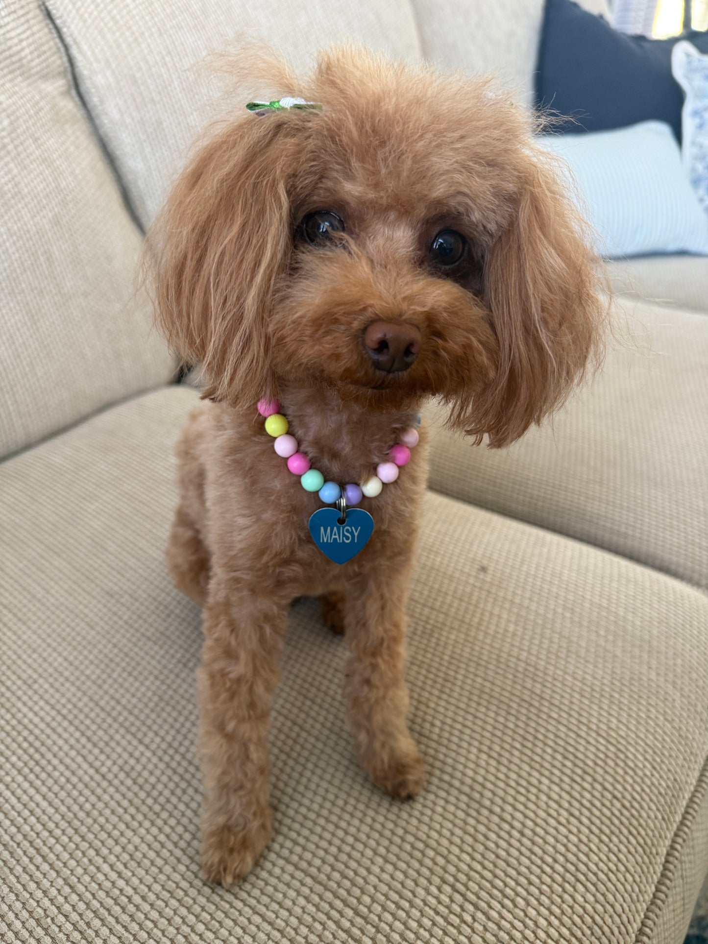 The Maisy Darling Necklace