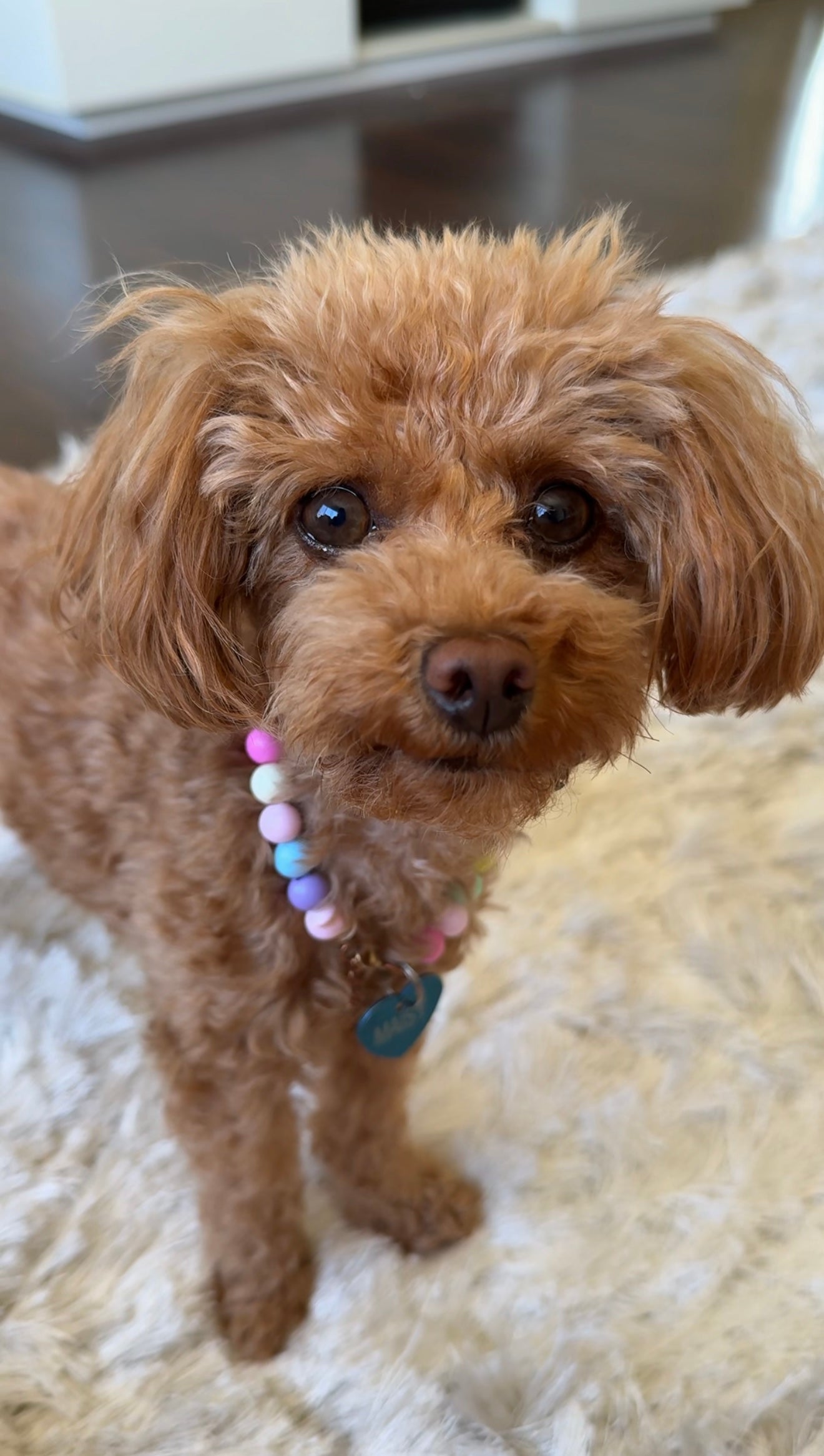 The Maisy Darling Necklace